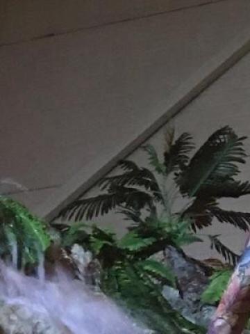 Лена Завораживающая Реал фото 2